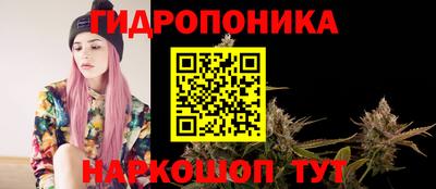 каннабис Славгород