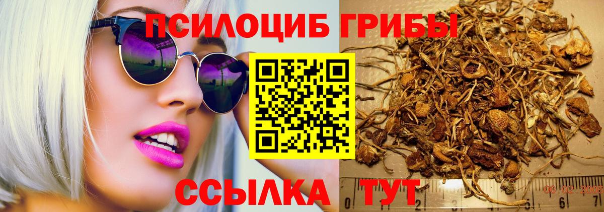Назарово  Псилоцибиновые грибы Magic Shrooms  Псилоцибиновые грибы GOLDEN TEACHER  Вход с VPN 